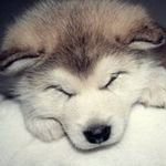 Jack Pillow - @jack.pillow - Instagram