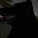 jackpillow - @jackpillow5 - Instagram