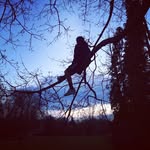 @jack.pinkelman - Instagram