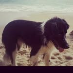 Jack Pink - @jack.daniel.pink - Instagram