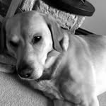 Jackie Pinnell - @jackie.pinnell.5 - Instagram