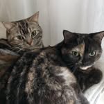 ジャックとピノコ - @_jack.pinoco_ - Instagram