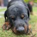 Jack Pino - Facebook