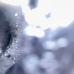 Jack Pittard - @bornthoughtful - Instagram