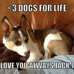jack_player - @jack_player - Instagram