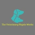 Jack Player RVN - @vet.physio.works - Instagram