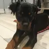 jack.player15 - @jack.player15 - TikTok