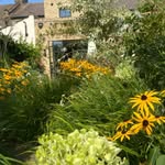 Jack Pledger - @pledgerplants - Instagram