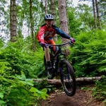 jack plumb - @jack.bikes.05 - Instagram