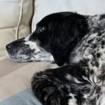 Jack Plumley - @jp2005__ - Instagram