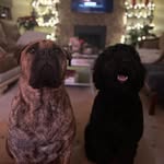 Jack Plunkett - @plunkett_j - Instagram