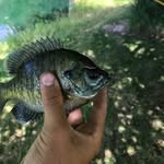 Jack Pogorelc And Luke Schafer - @jacklukefishing - Instagram