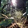 jakapogorelc751 - @jakapogorelc751 - TikTok