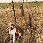 Jack Pohlman - @free_range_photography_ - Instagram