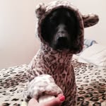 Jack - @_jackpointer_ - Instagram