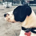 Jack - @jackpoint_er - Instagram