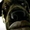 Jack pong - @meemee4382 - TikTok