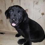 Jack Poorman - @jackpoorman - Instagram