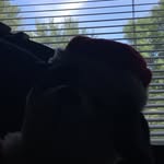 Jack pop - @jack_popofficial - Instagram