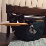 Porchie & Jack Jack - @porchieyjackjack - Instagram