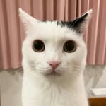 @jackpossst - Instagram