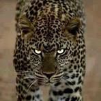 Jack Postlewait - Facebook