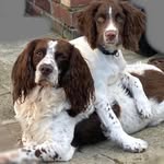 Jack Carey Pounder - @jackcareypounder - Instagram