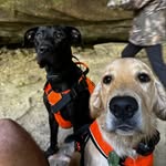 Jack & Goose Pounds - @jackandgoose_lbs - Instagram