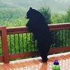 J - @jacksonprather_ - TikTok