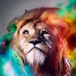 Jack Prather - @docn2006 - Instagram