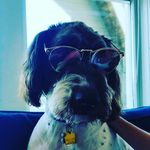jack preiss - @jackpreiss - Instagram