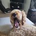 Jack Preiss - Facebook