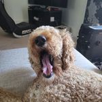Jack Preiss - @jack.preiss.1 - Instagram