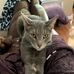 Jack Previte - Facebook
