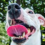 Jackson David Priddy - @jack_priddy - Instagram