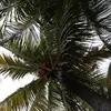 Jacky Provost - @jacky.provost - TikTok