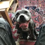 Jack Pyle - @plumbdogmillionare - Instagram