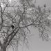 Jack Pyle Park - Facebook