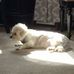 Jack Quinlan - Facebook