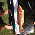 Jack Quirk - @quirky_44 - Instagram