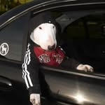 Jack Race - @catra555 - Instagram