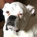 Jack Ragland - Facebook