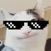 Jack Fraley77 - @jackfraley77 - TikTok