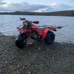 Jack Randell - @jack_randell69 - Instagram