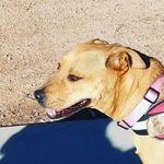 Jack Ratliff - @jackratliff30 - Instagram
