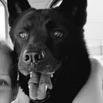 Jack Rawlins - @blackdog_jack - Instagram