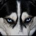 Jack Reacher - Facebook