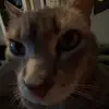 Jack - @jack_reinhardt - TikTok
