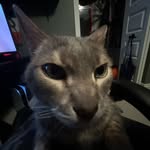 @jack_reinhardt3 - Instagram