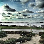 Jack - @renaud_jack - Instagram